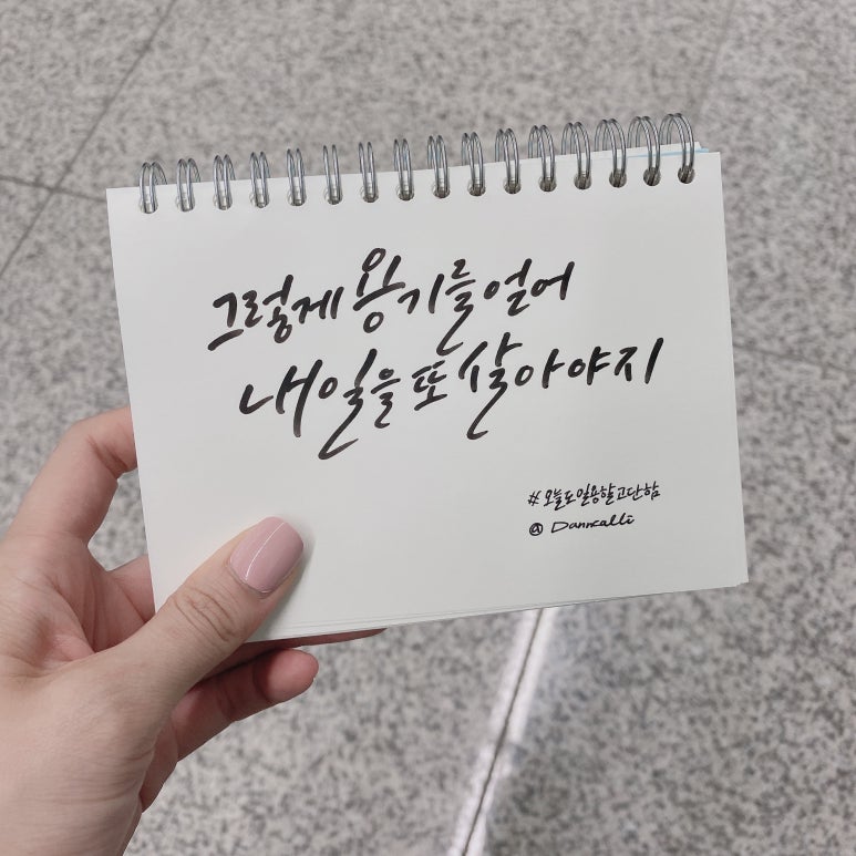 네일은미 이미지