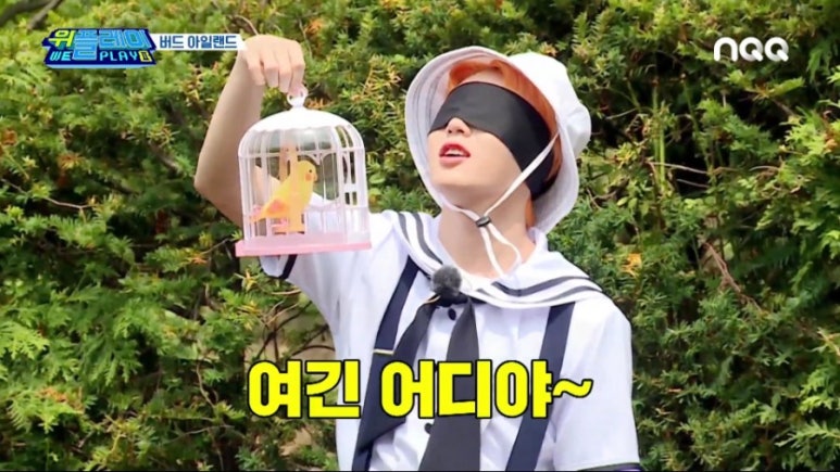 버드아일랜드 이미지