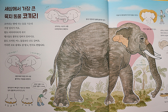 오물오물 이미지