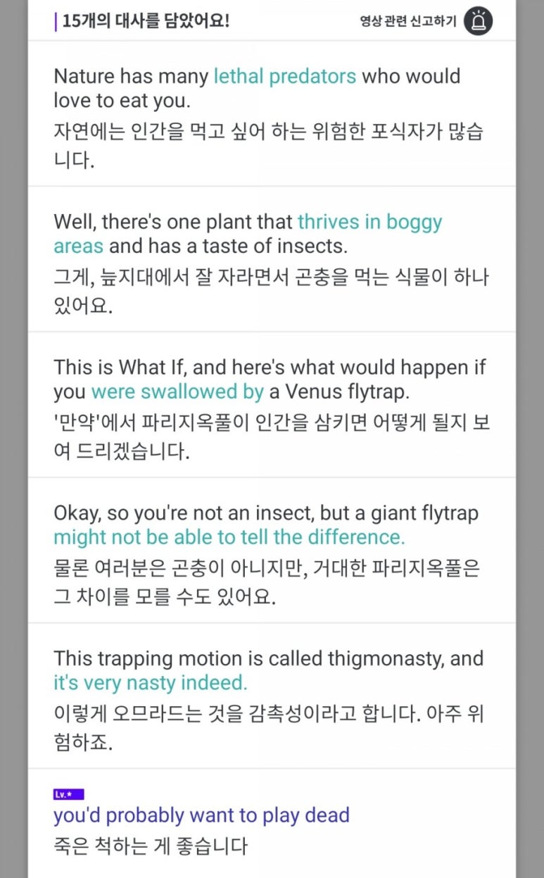 26meat 이미지