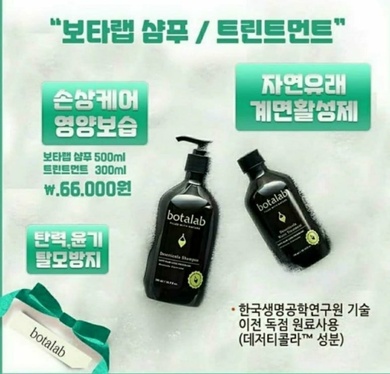 파파인 이미지