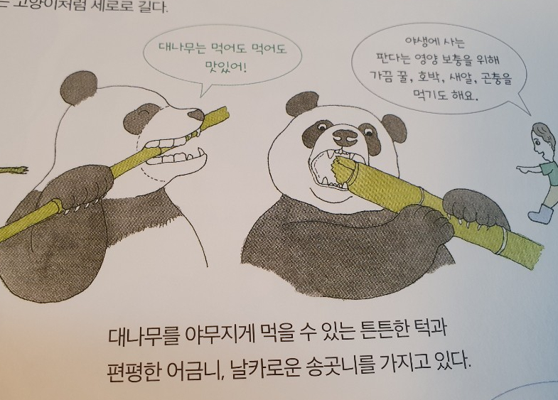 오물오물 이미지