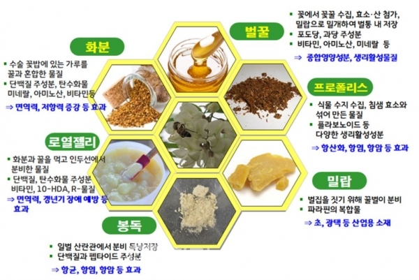 남양농장 이미지