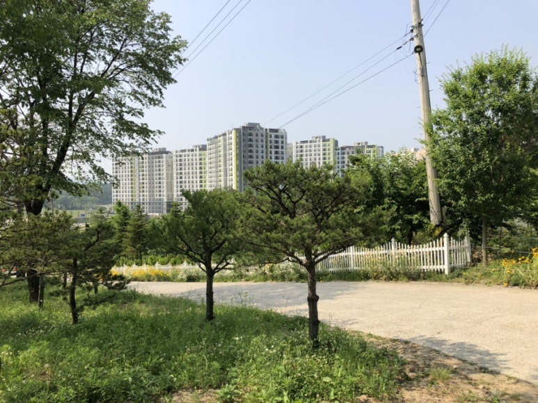 득카페 이미지