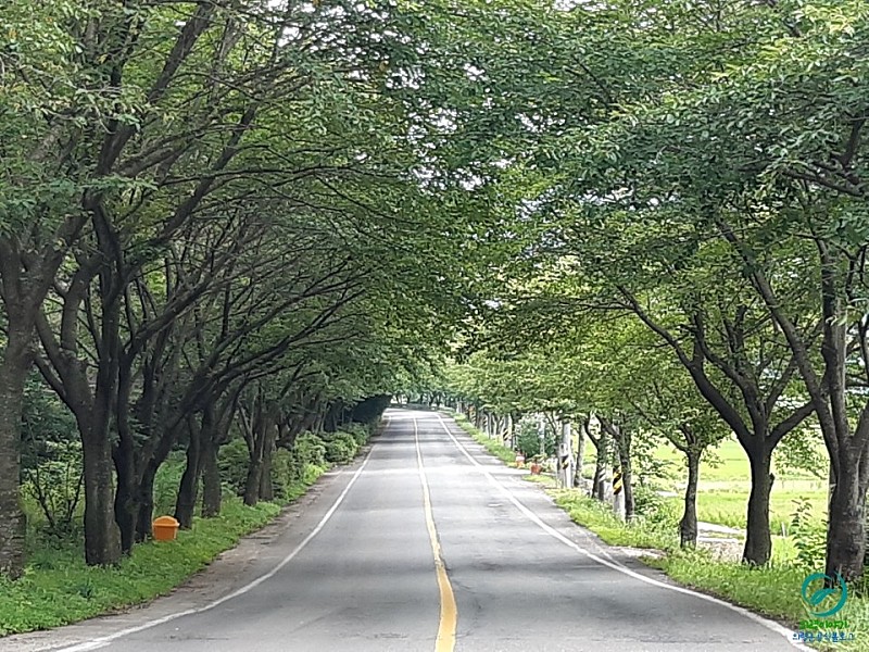 유곡면 농촌체험랜드 이미지