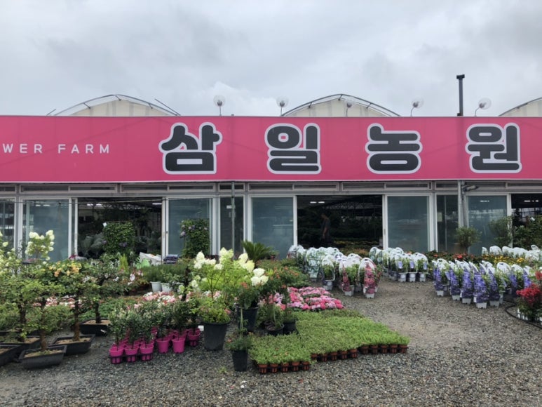 삼일농원 이미지
