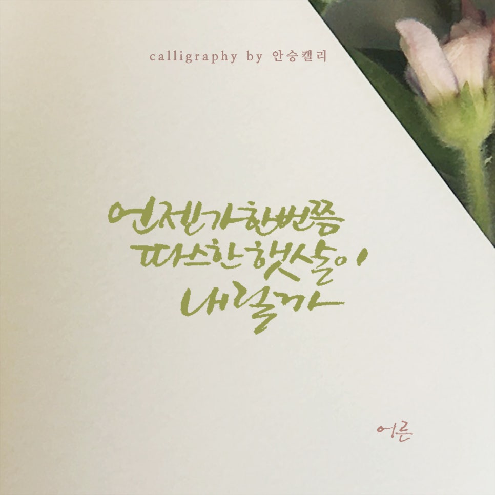 안승캘리 이미지