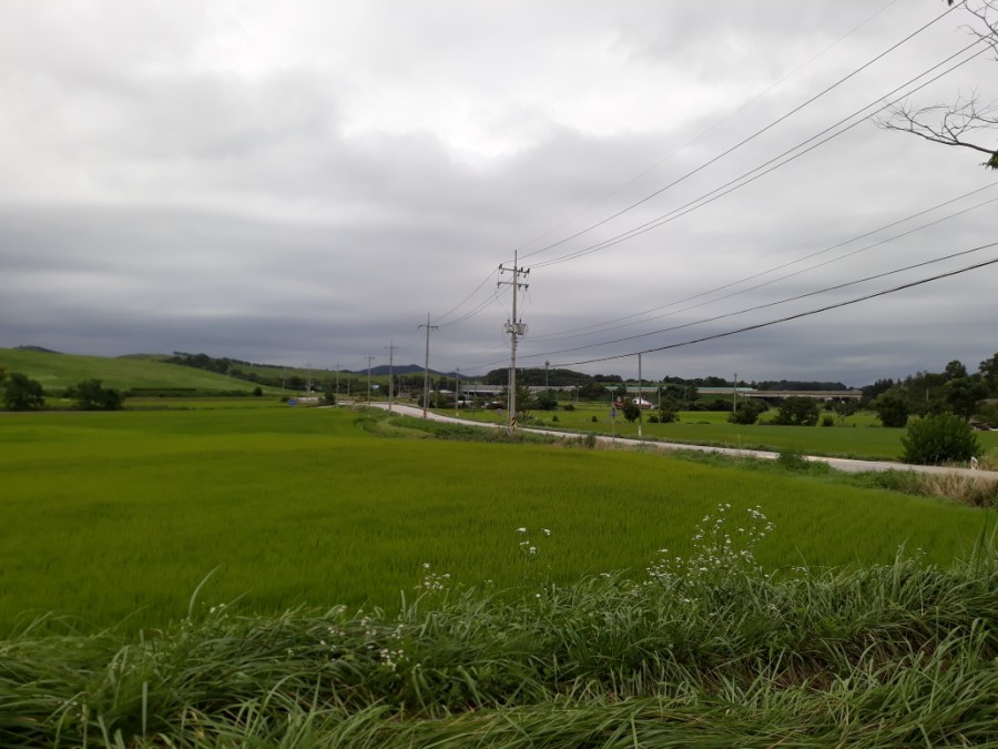 서산IC(서울) 이미지