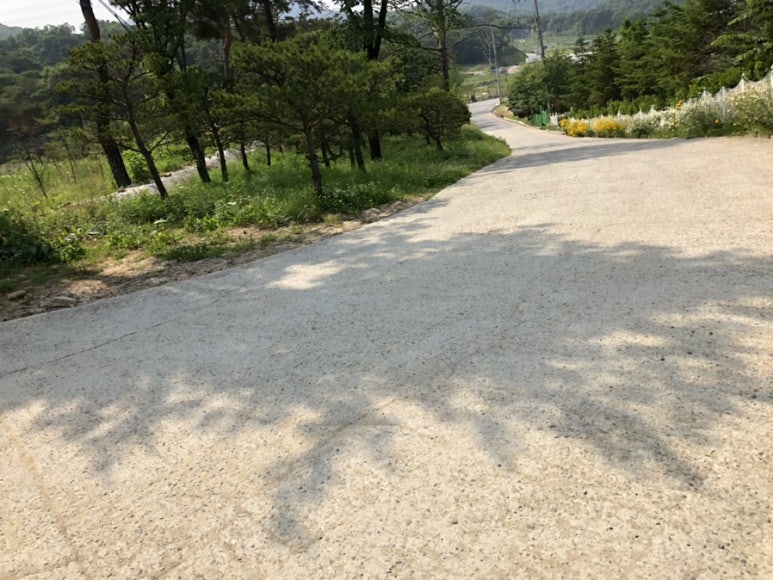득카페 이미지