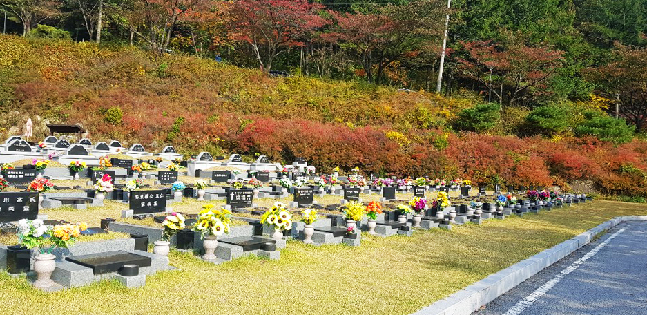 천주인력 이미지
