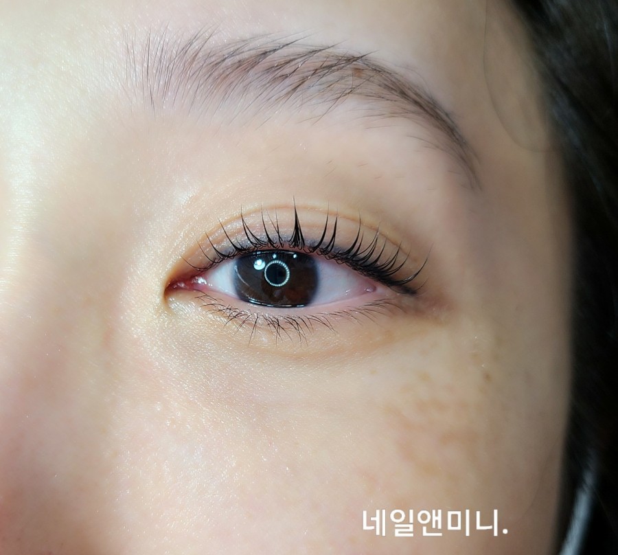 네일앤미니 이미지