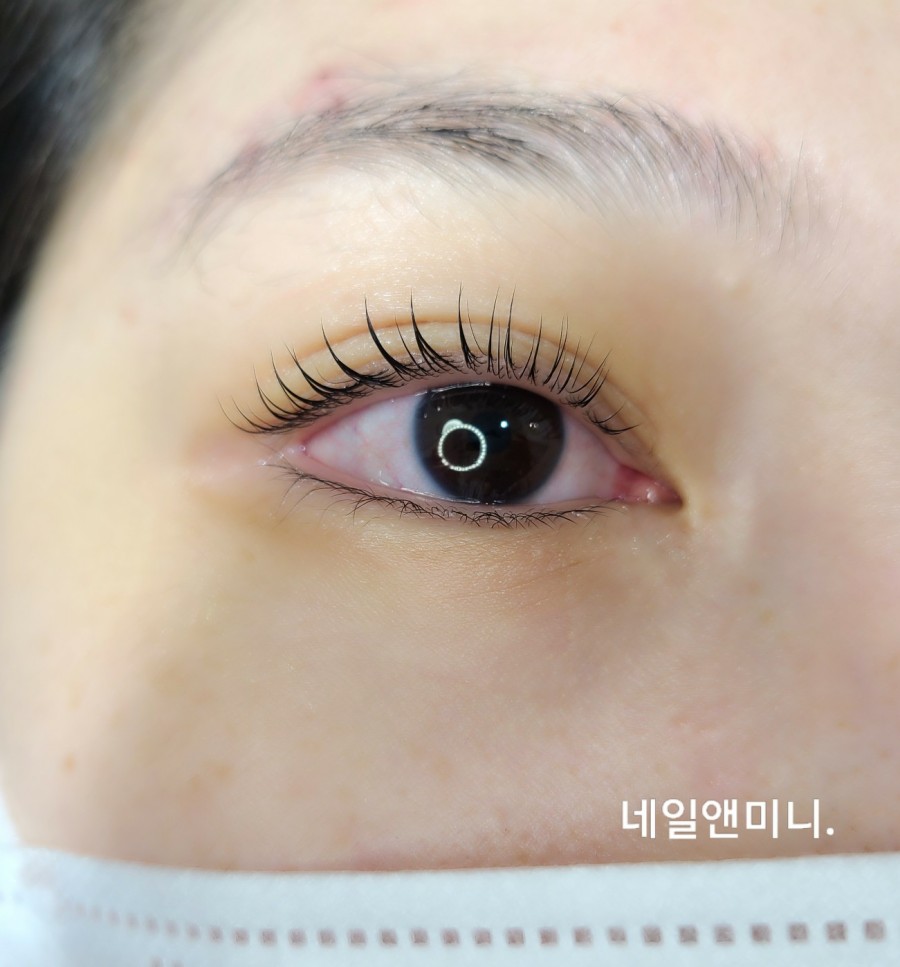 네일앤미니 이미지