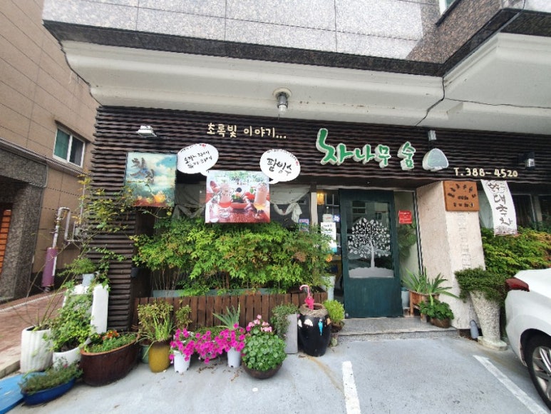 차나무숲 이미지