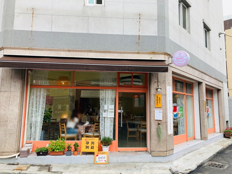 슈키쿠키 이미지