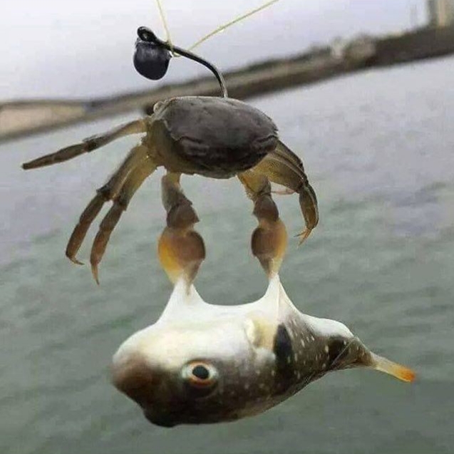 일석이조 이미지