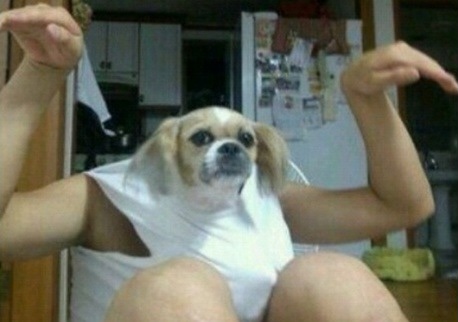 별미분식 이미지
