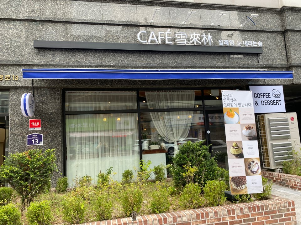 눈내리는숲;설래임 이미지