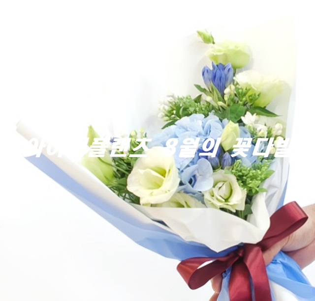 아이디플랜츠 이미지
