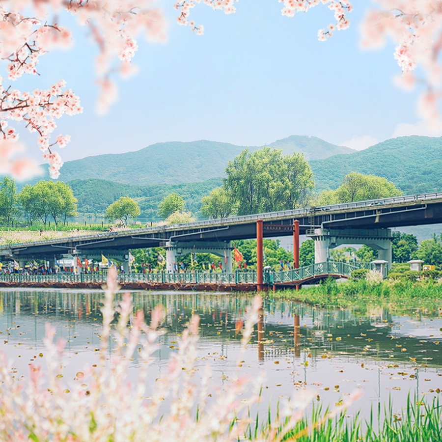 연꽃상회 이미지