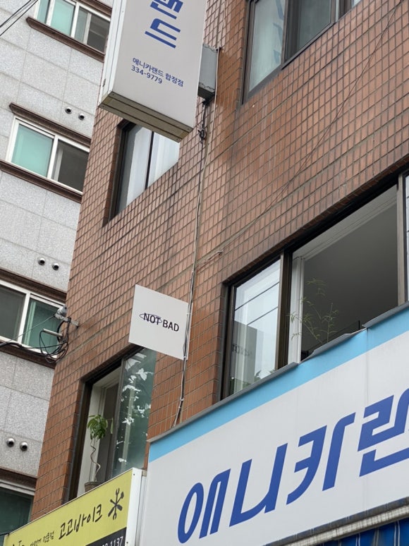 애니카랜드신 이미지
