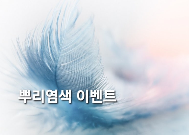 쿰헤어 이미지