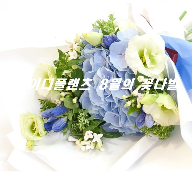 아이디플랜츠 이미지