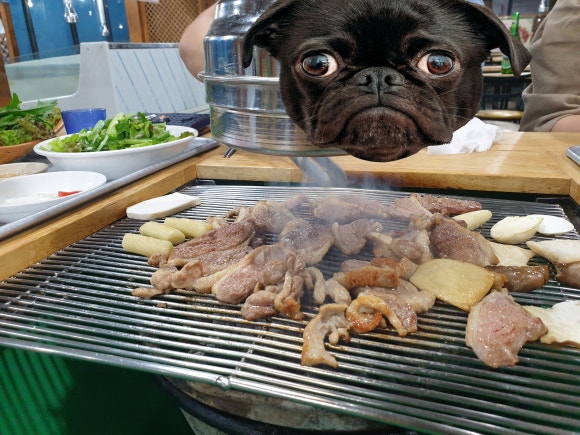 (주)하늘천 이미지