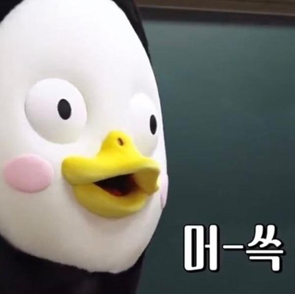 주문진차유리 이미지