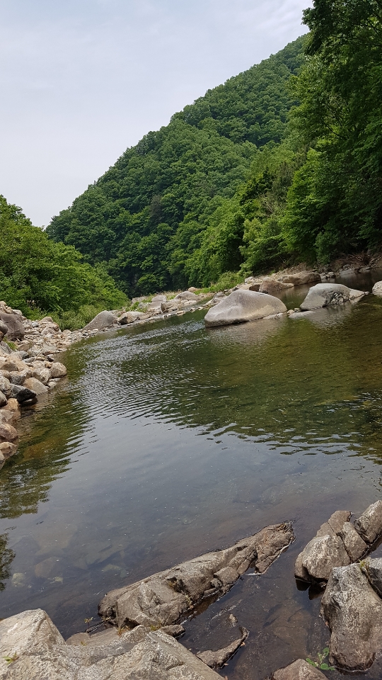 고동골펜션 이미지