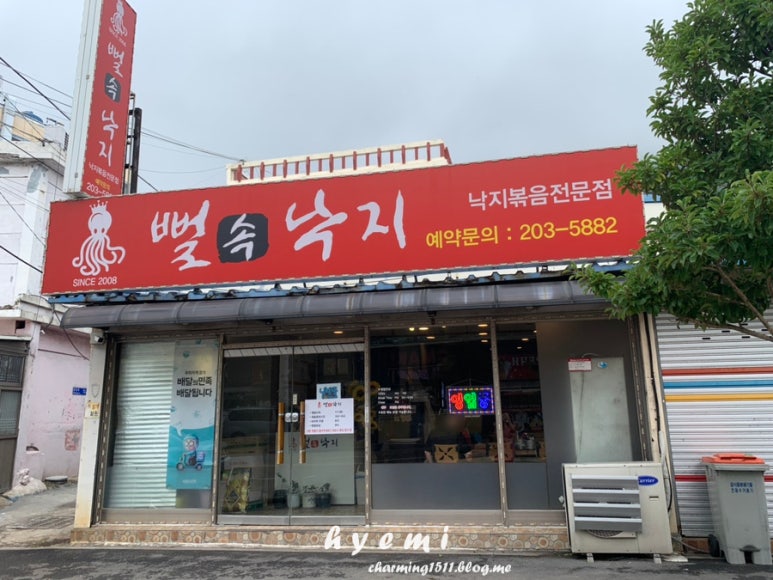 뻘속낙지 이미지