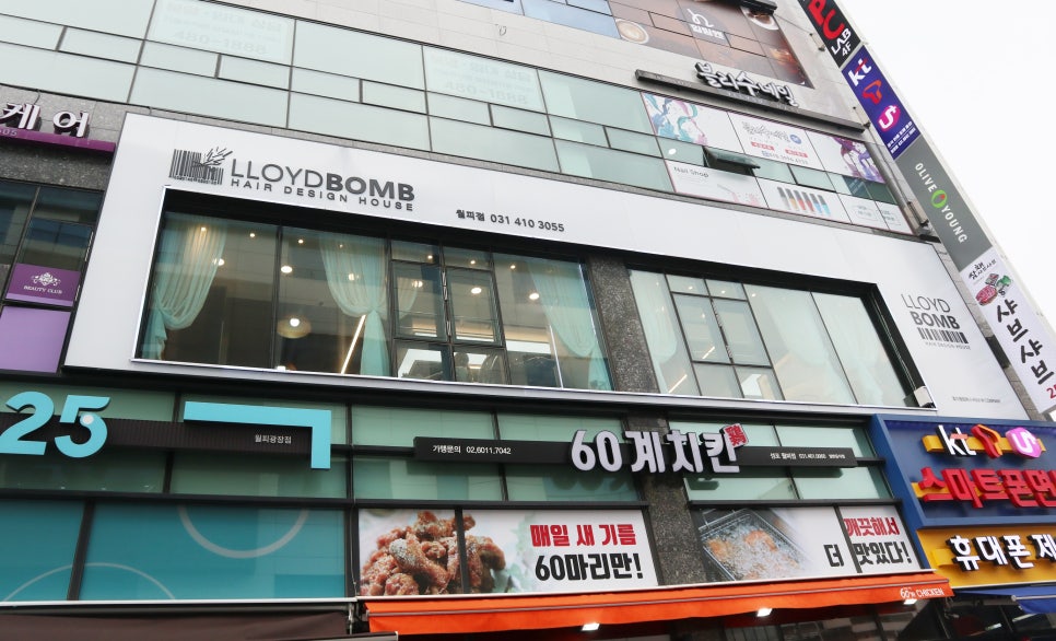로이드밤 이미지