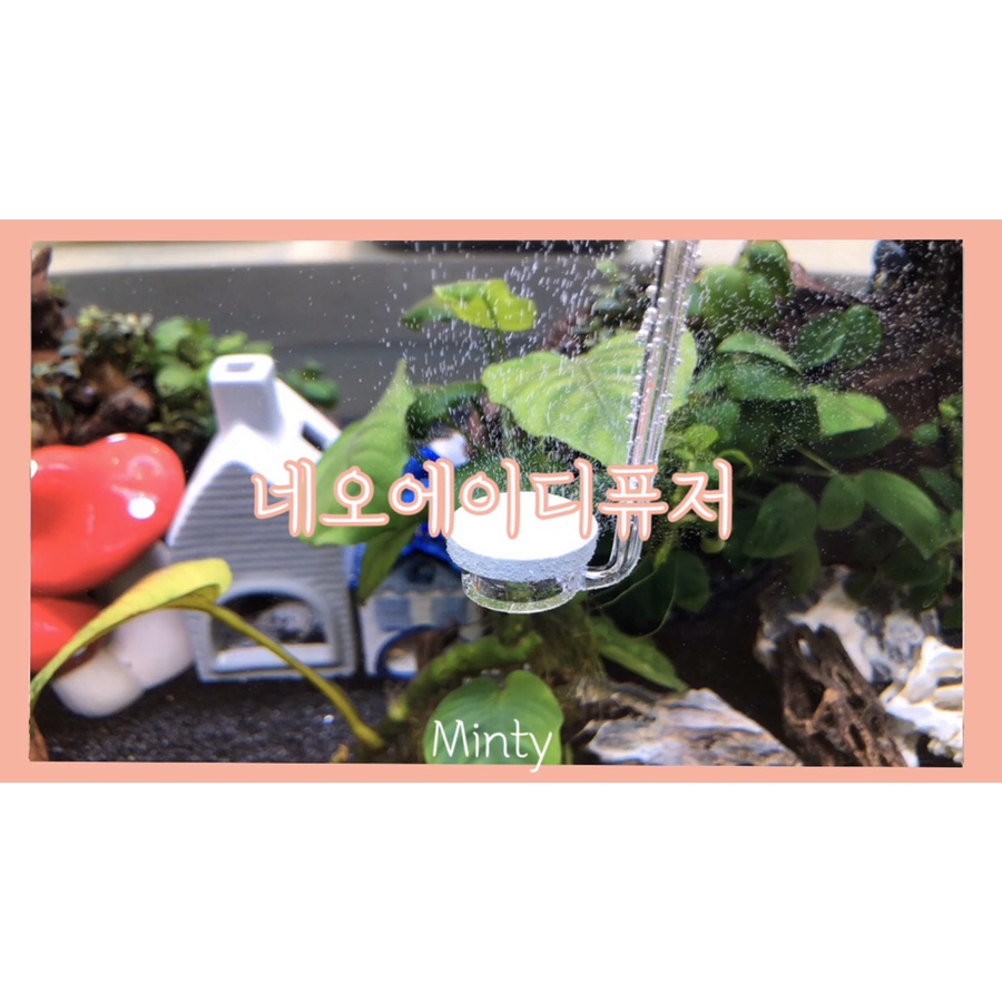 네오에이 이미지