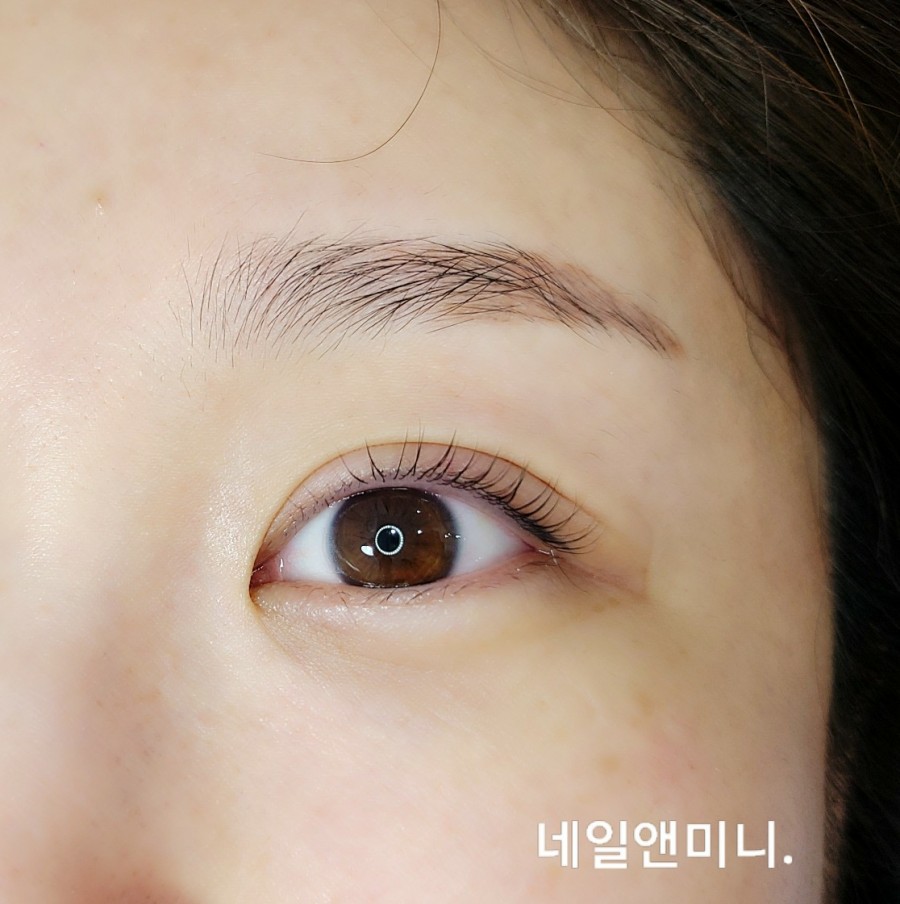 네일앤미니 이미지