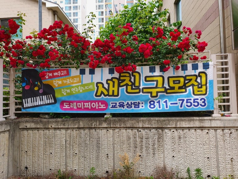 도레미피아노음악교습소 이미지