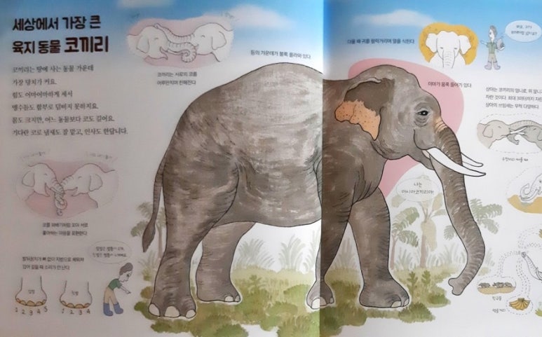 오물오물 이미지
