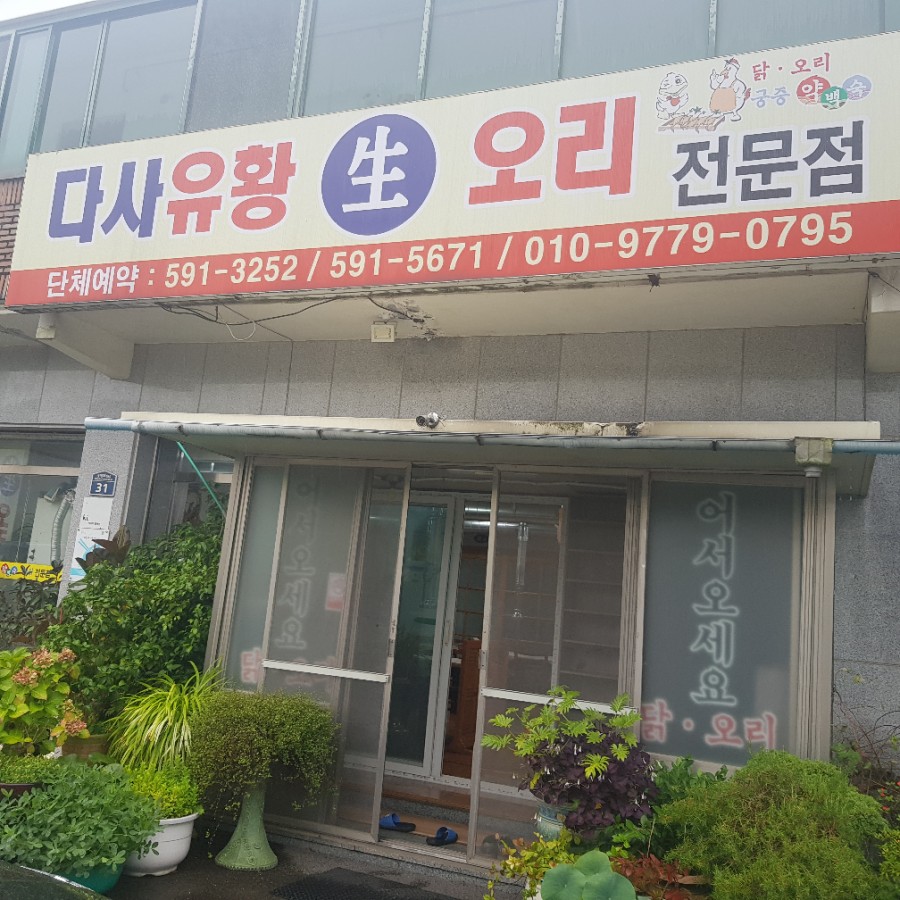 다사유황오리 이미지