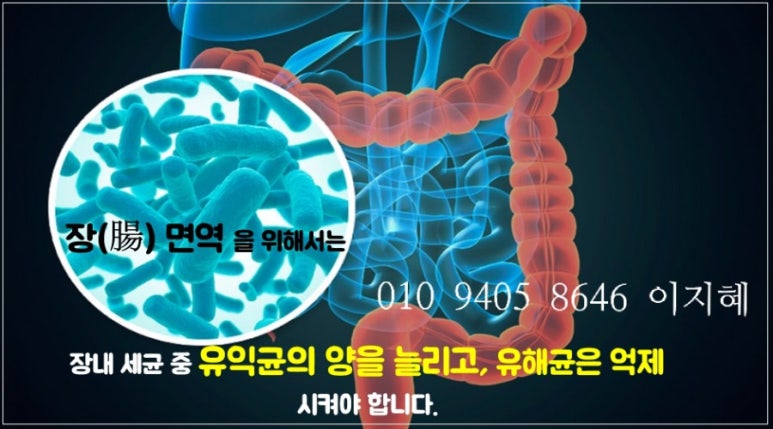 피누스스토어글로벌 이미지