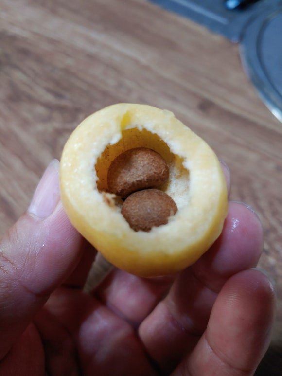 로즈애플 이미지