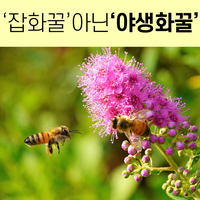 두레자연마을농업회사법인유한회사 이미지