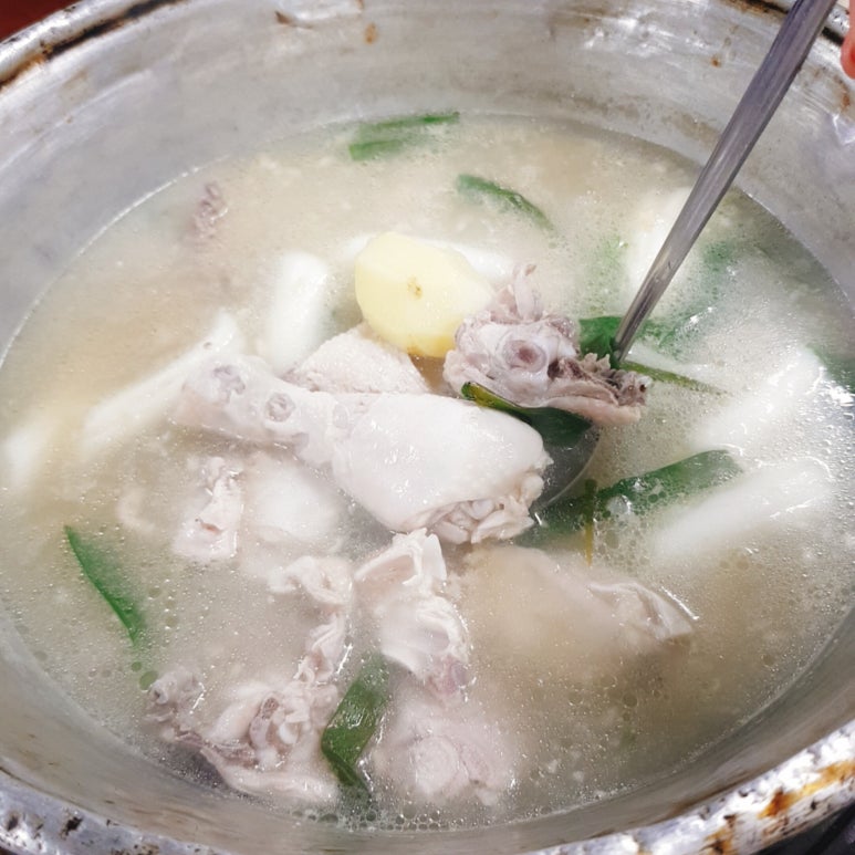 오리떼닭한마리 이미지