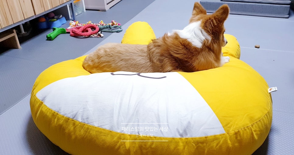 에브리버디 이미지