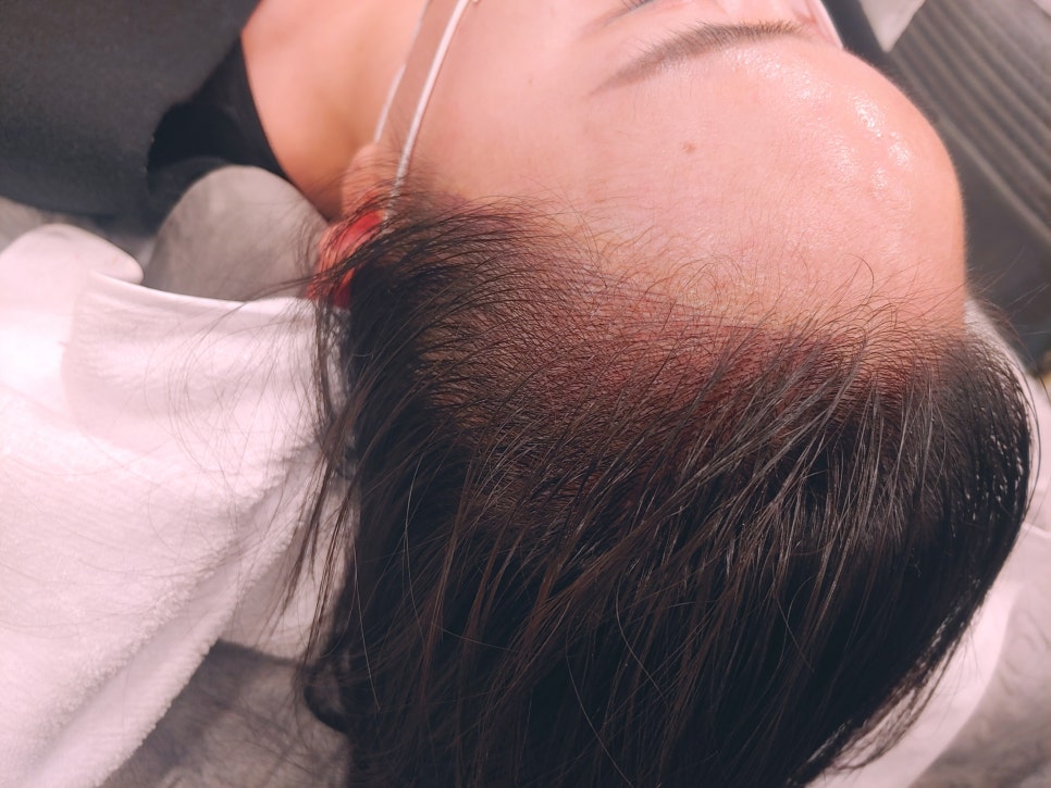 라비에벨헤어 이미지