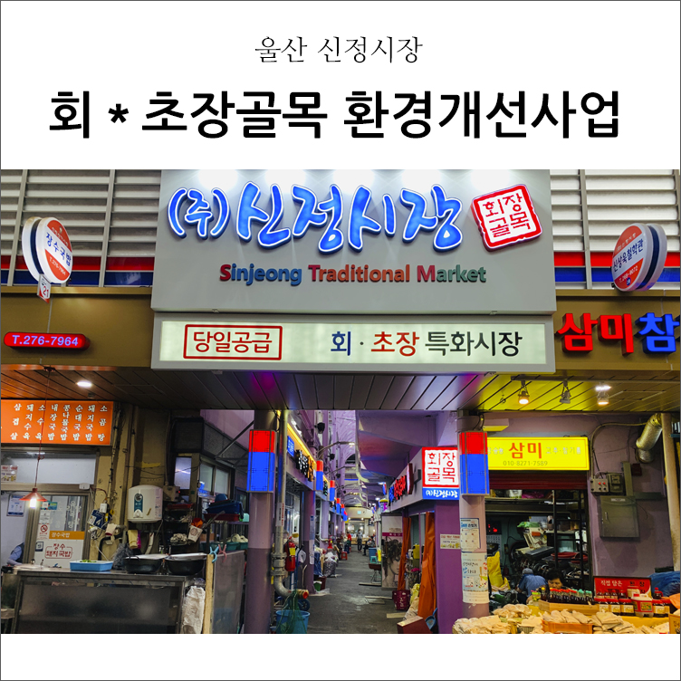 신정초장 이미지