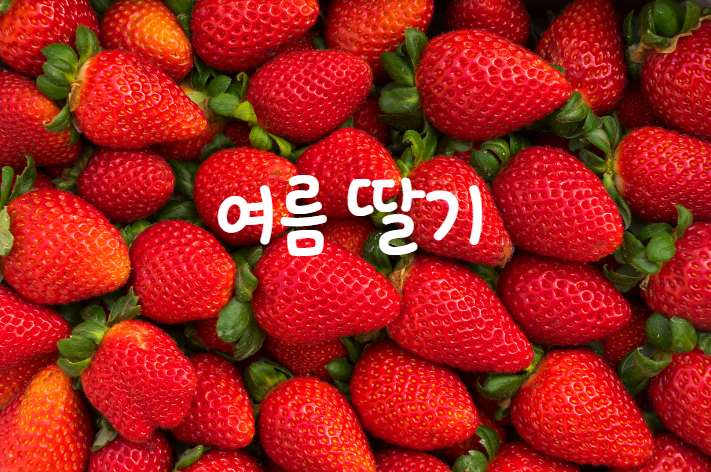푸릇상회 이미지