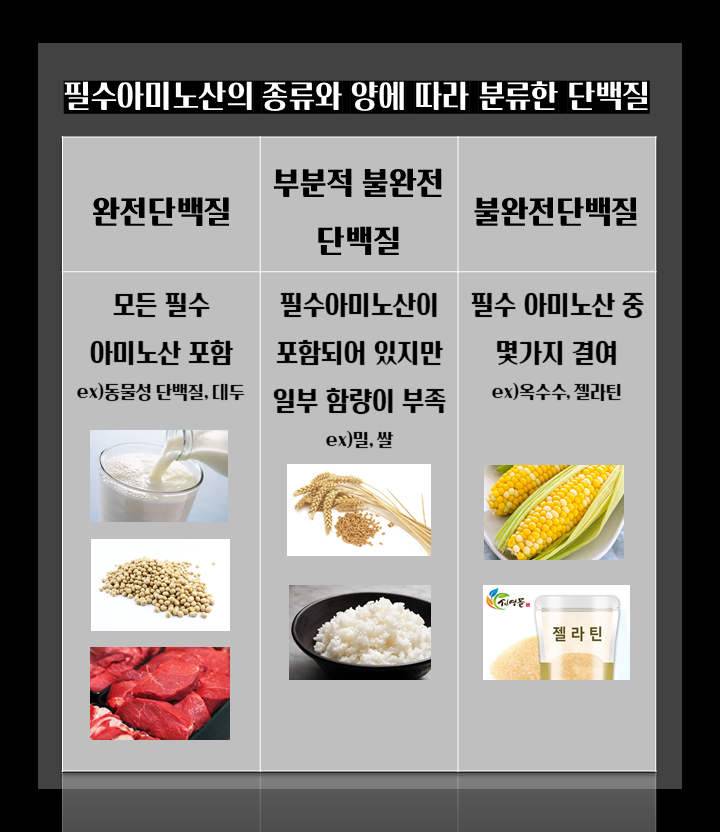 대한미트 이미지