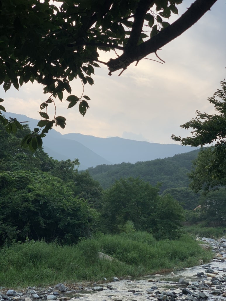 명성집 이미지