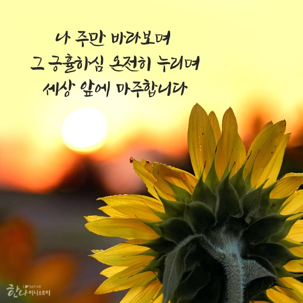 참손가 이미지