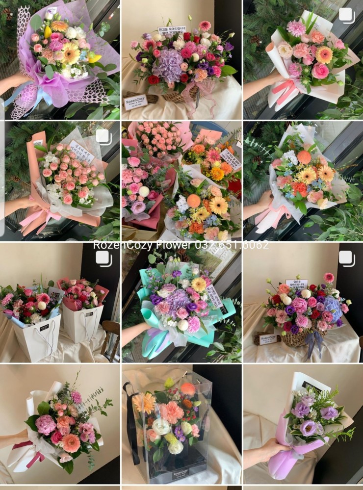 로젠코지 이미지