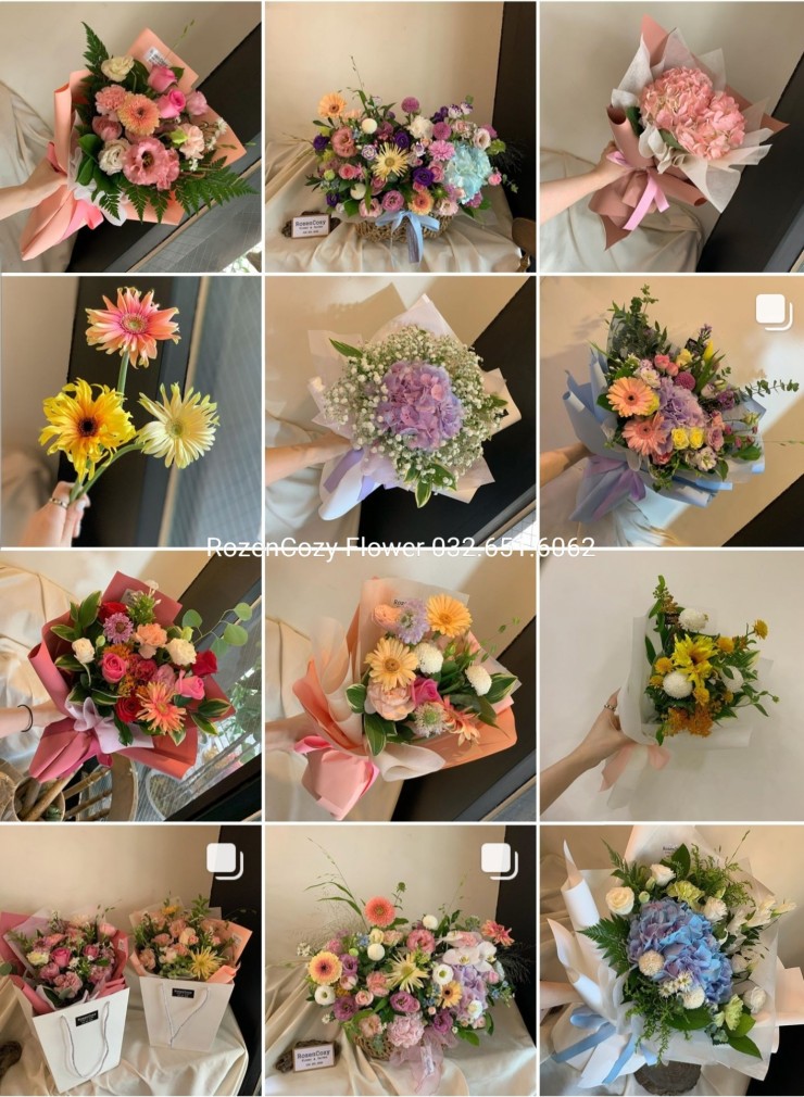 로젠코지 이미지