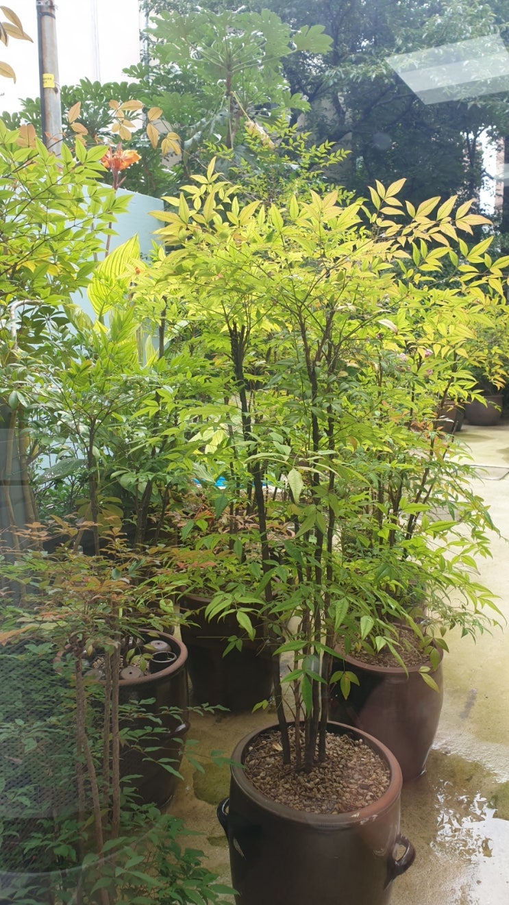 부산기독교종합사회복지관 이미지